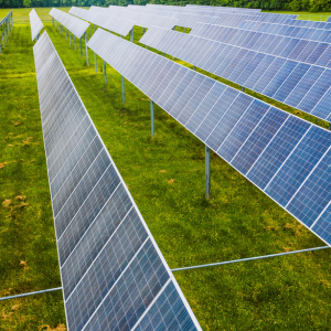 Solar panels in field of green grass