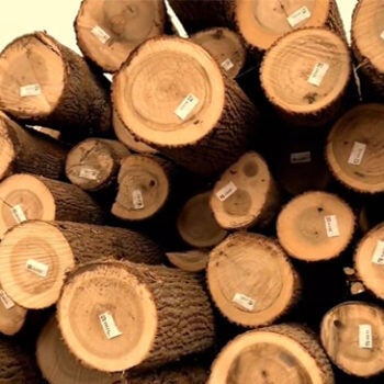 Logs