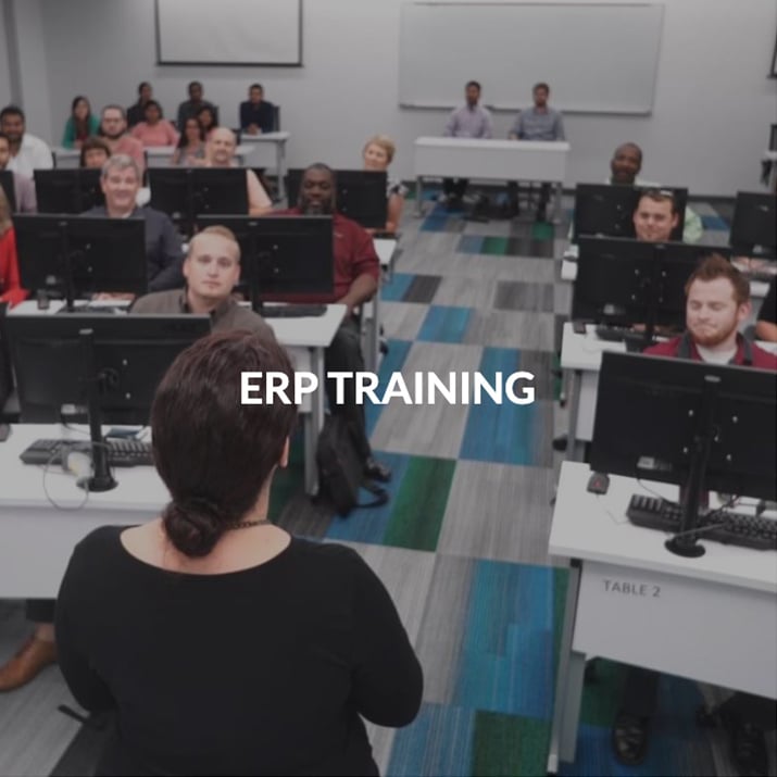 ERP Training