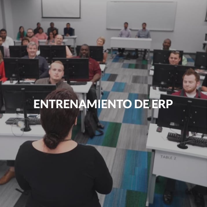 About Mexico ERP Training