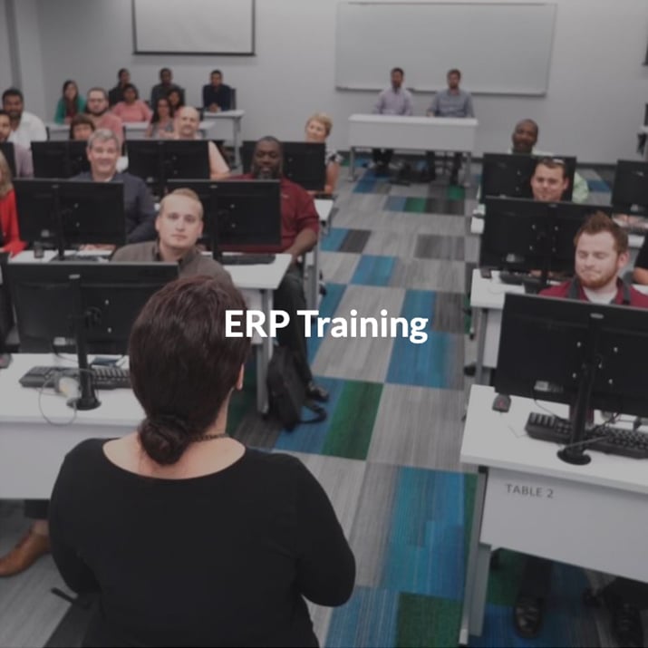 ERP Training
