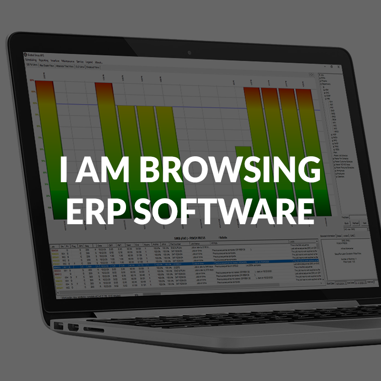 I Am Browsing ERP Software