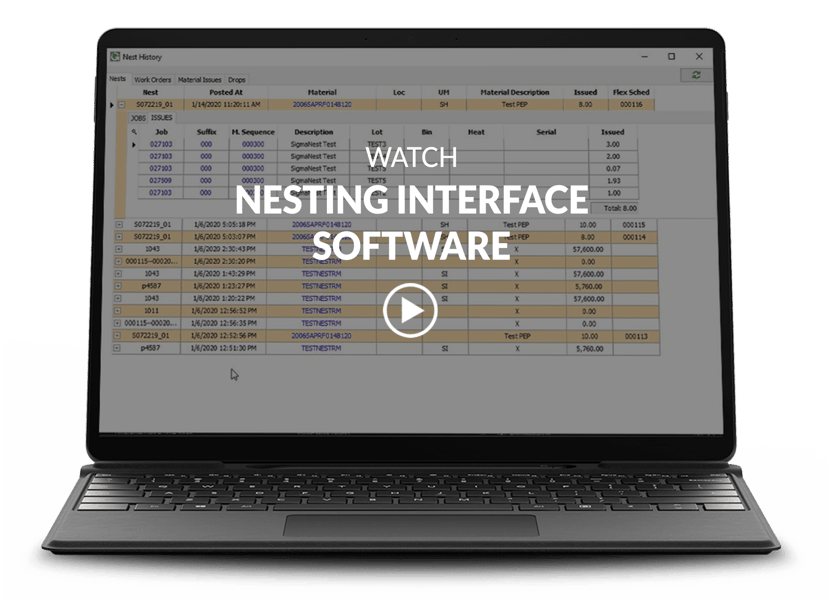 Laptop showing nesting interface screen with video title and play button overlay